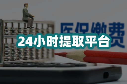 24小时提取平台